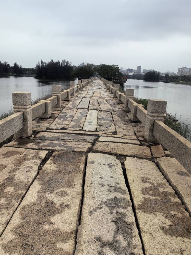 找旅游搭子