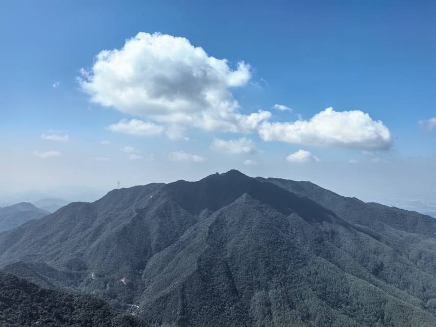 找旅游搭子