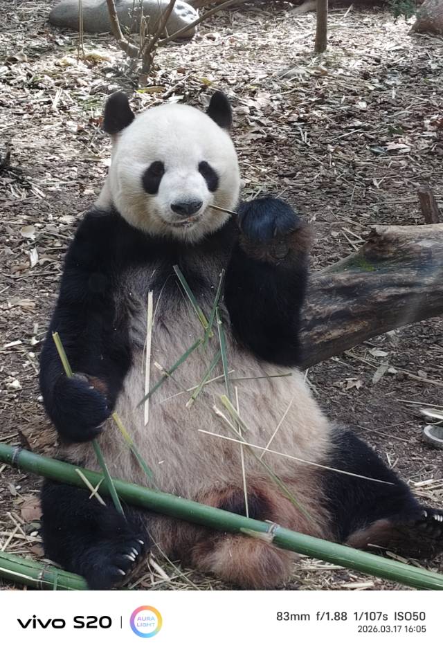 找运动搭子