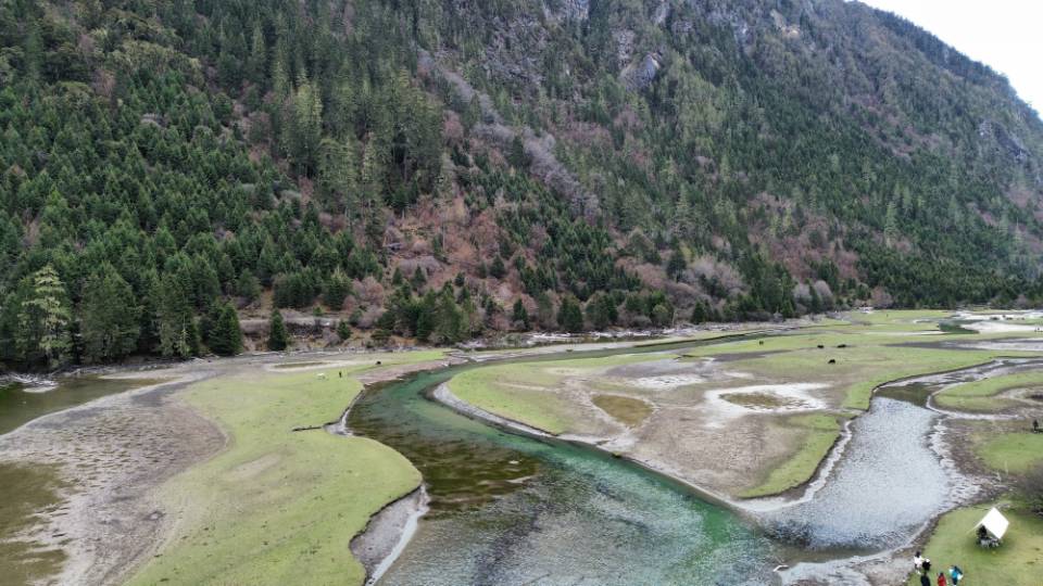 找吃饭旅游搭子