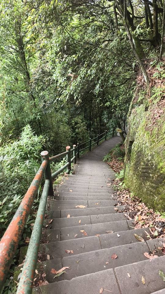 找运动饭搭子
