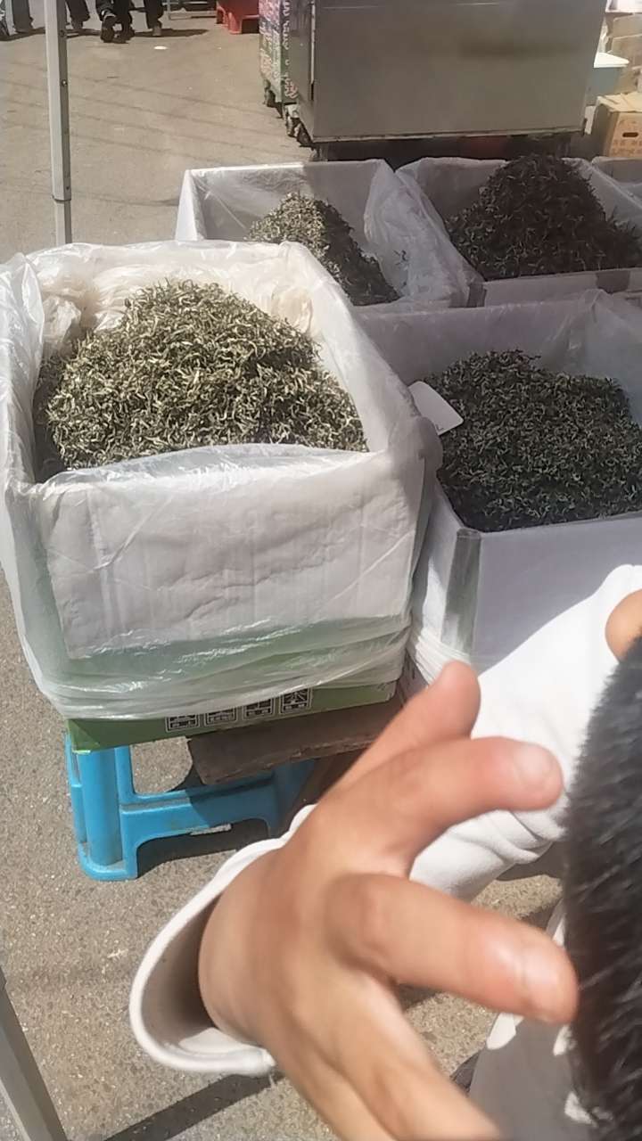 找单身搭子