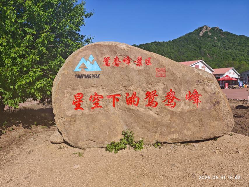 找周末搭子