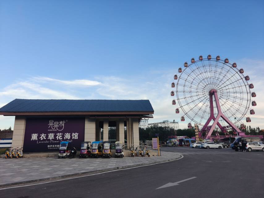 找陪伴搭子