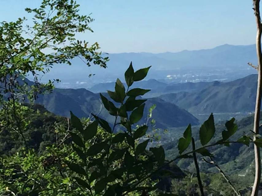 找郊游搭子