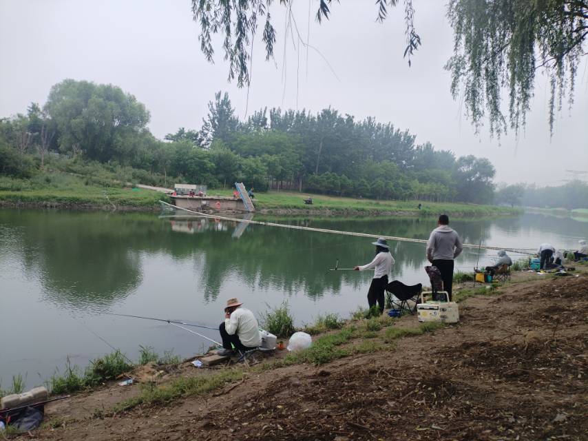 找钓鱼散步搭子