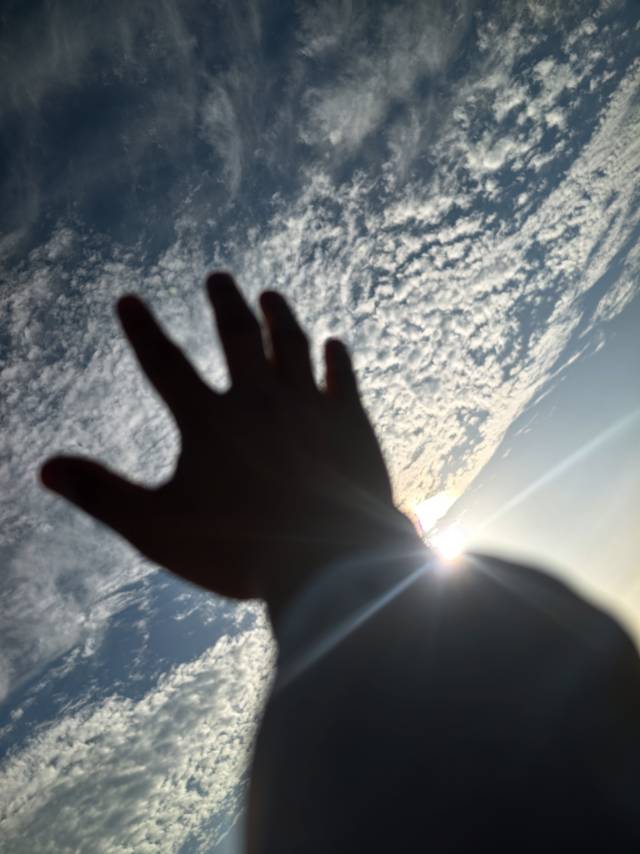 找旅居搭子