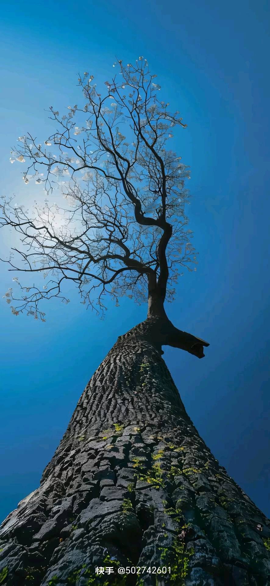 找户外搭子