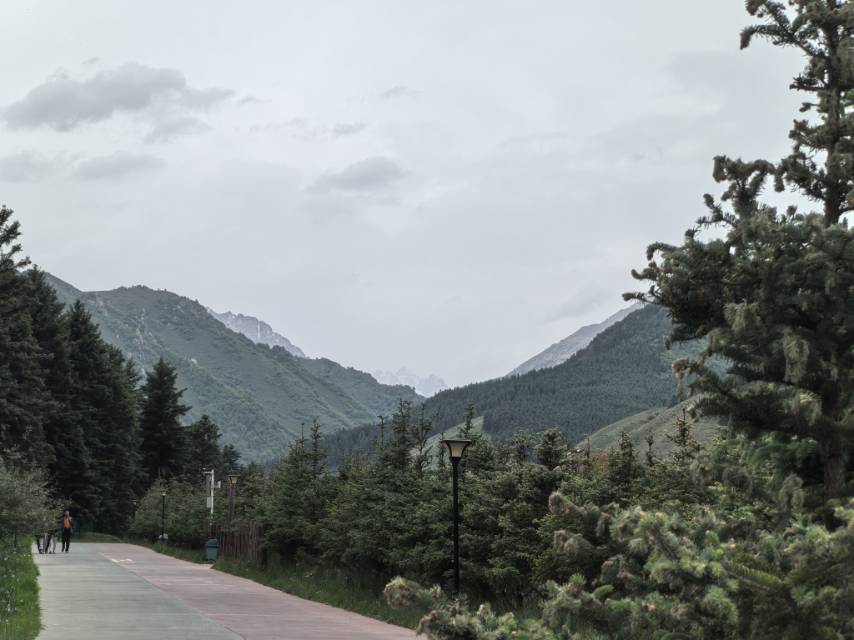找旅行搭子