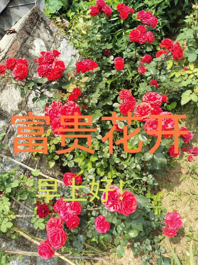 找运动旅行游逛阳光搭子