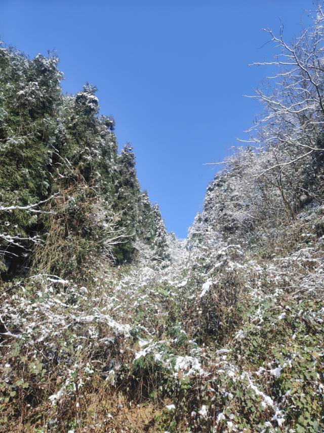找爬山搭子