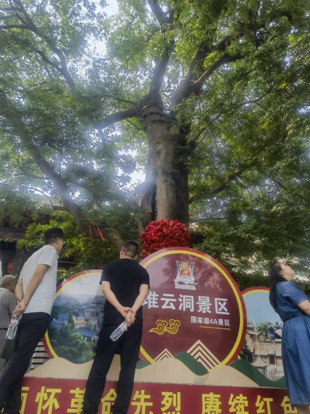 找运动搭子
