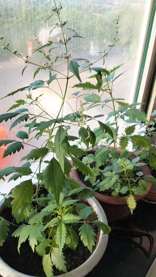 找运动搭子