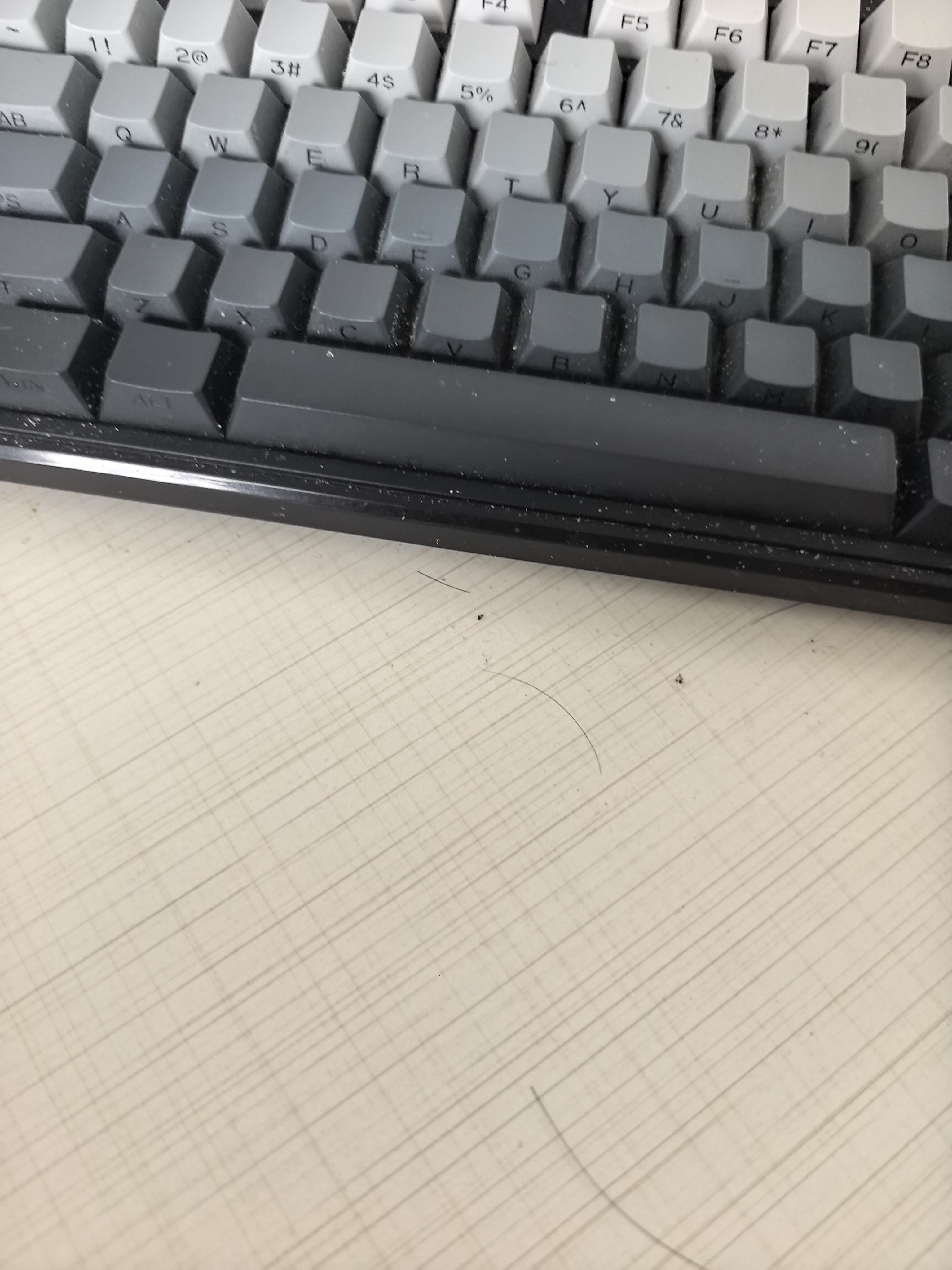 找运动搭子