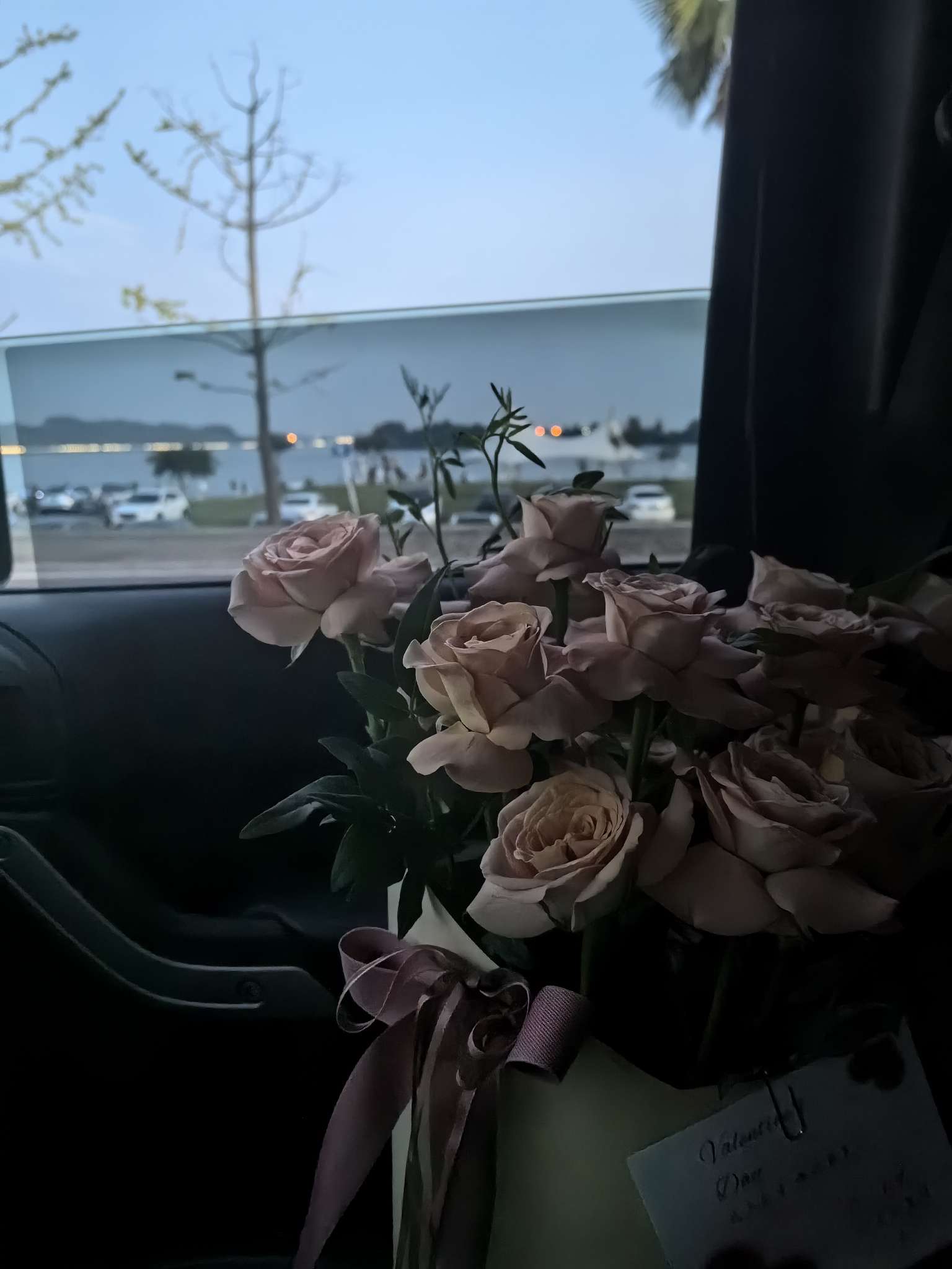 找看球赛搭子