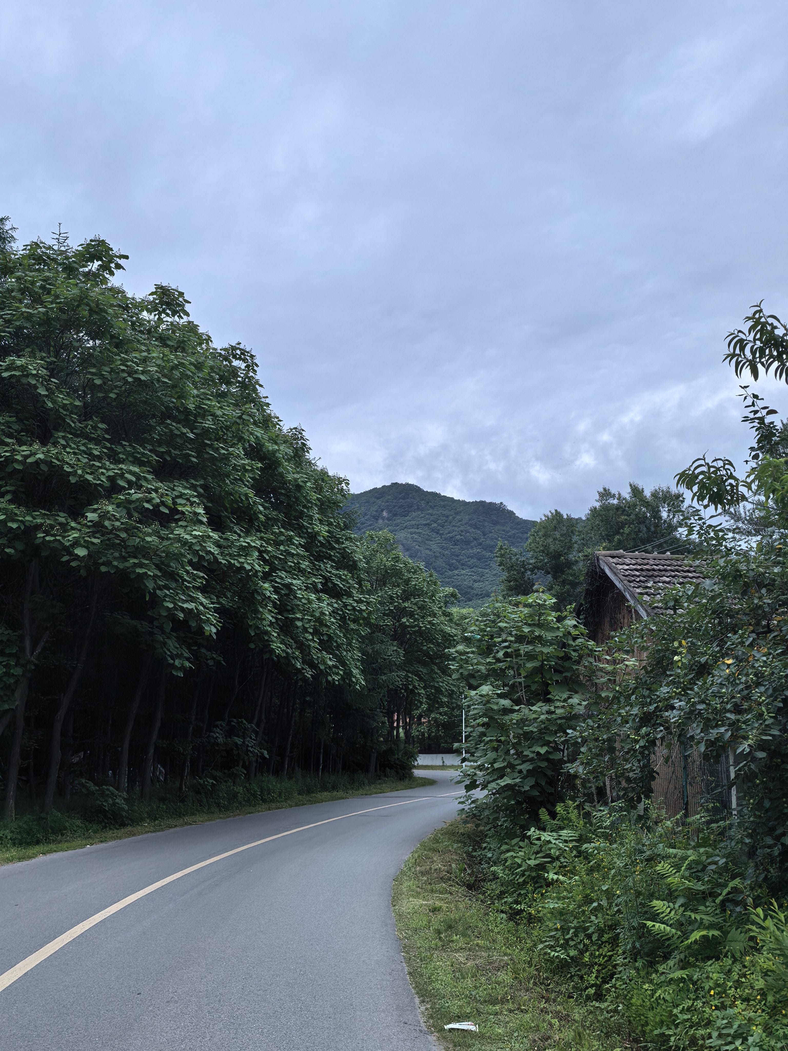 找走步吃饭旅游搭子
