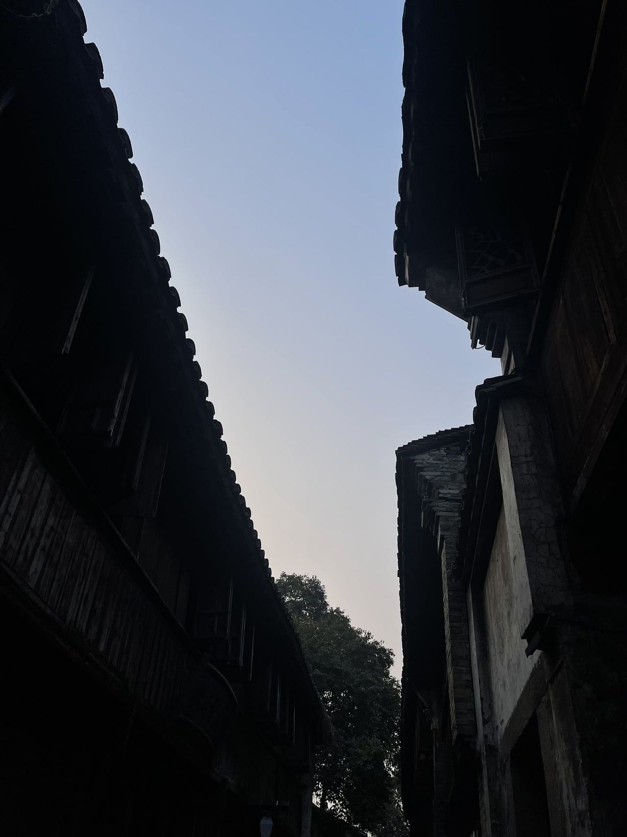 找运动搭子