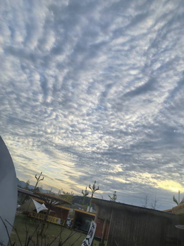 找钓鱼喝酒聊天k歌搭子