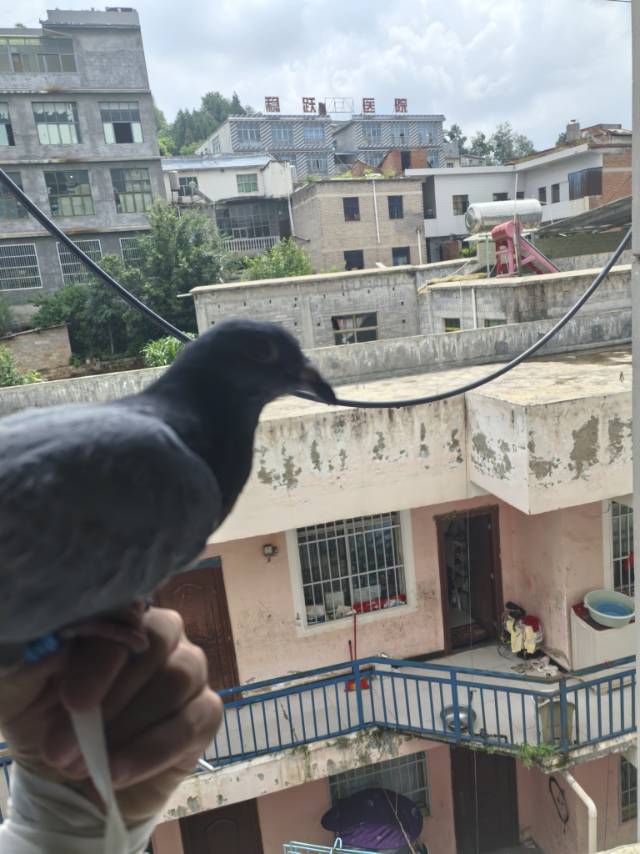 找约会搭子