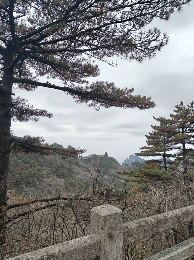 找玩乐搭子