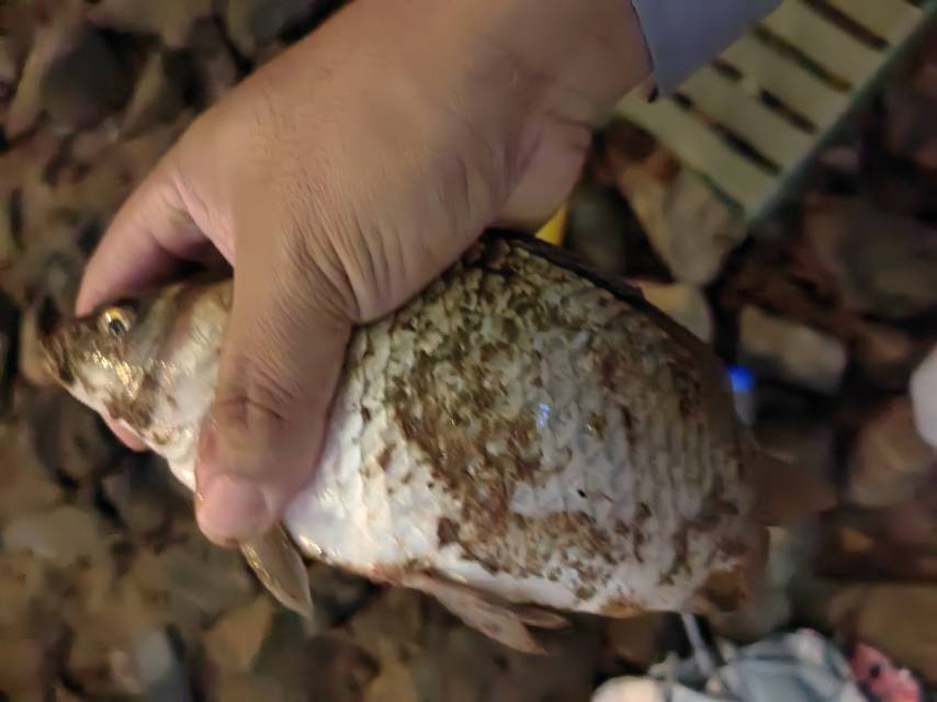 找钓鱼或者聊天伴侣搭子