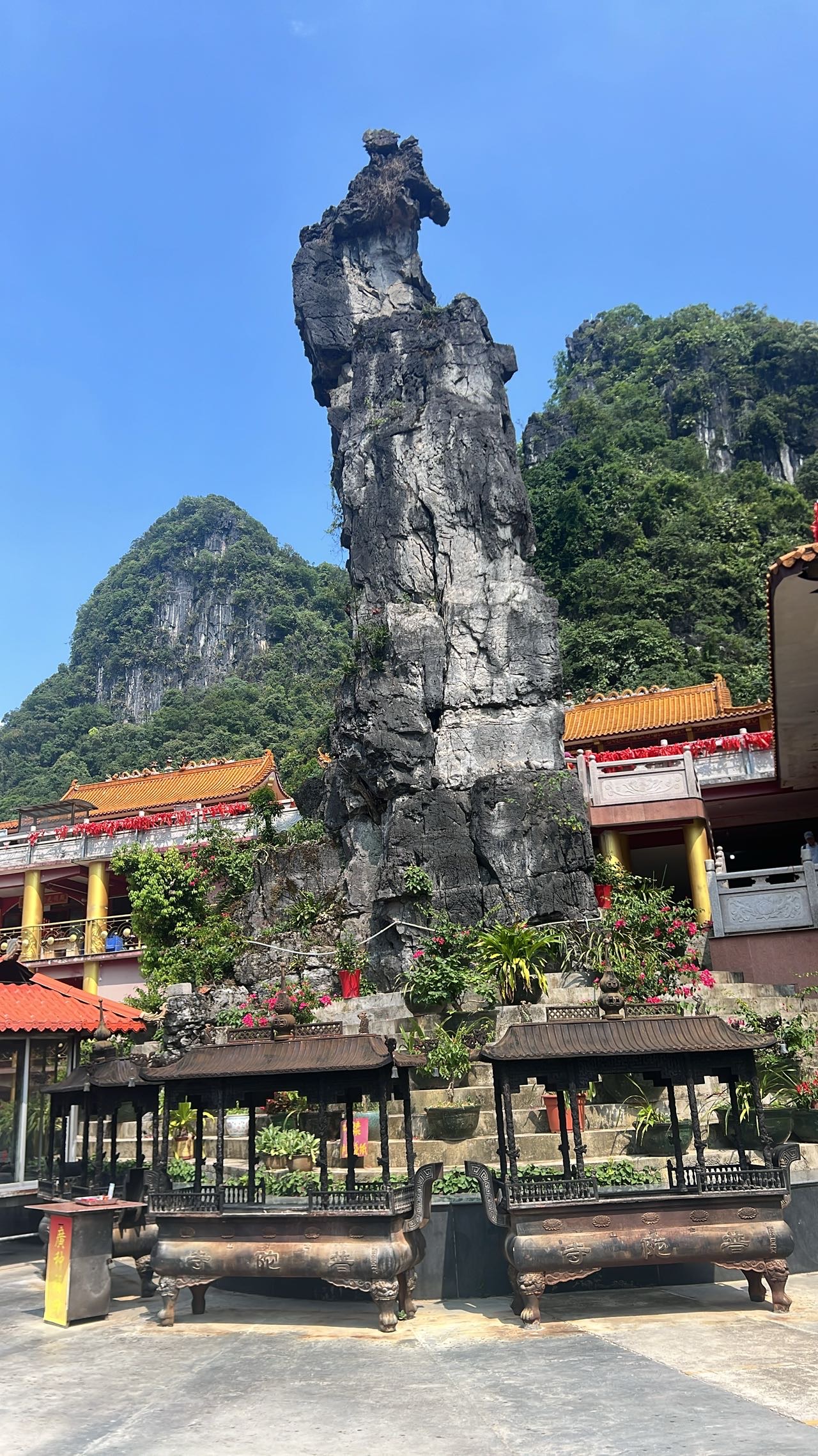 找灵魂搭子