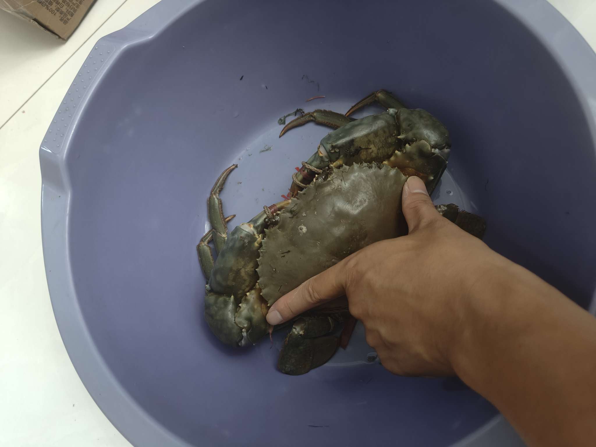 找看海搭子