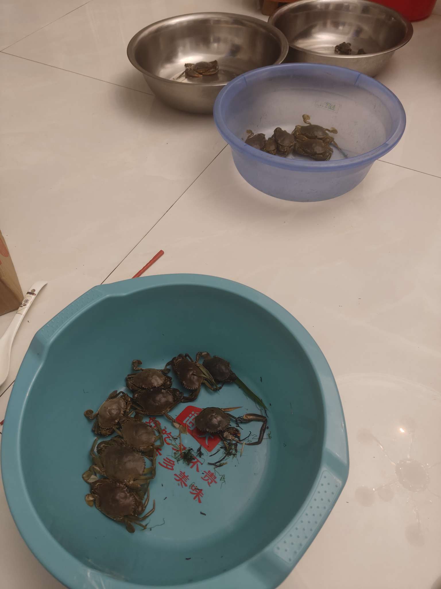 找看海搭子