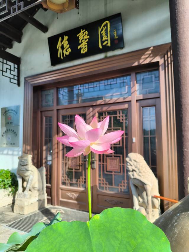 找运动搭子
