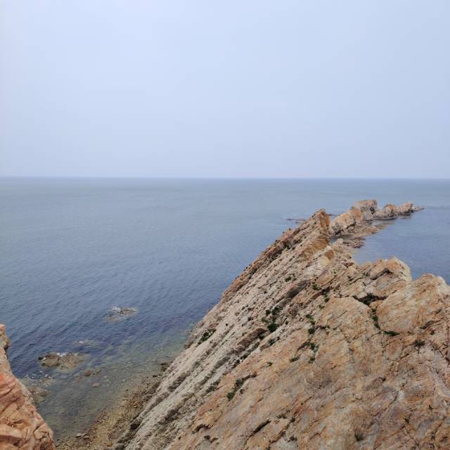 找旅游吃饭自驾游搭子
