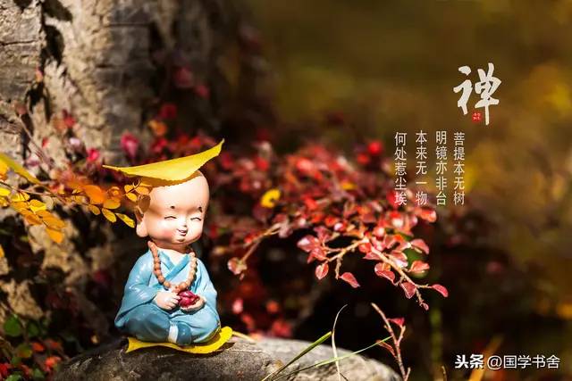找运动搭子