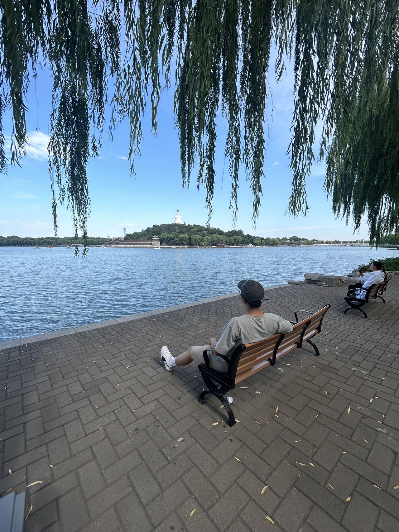 找旅行散步搭子