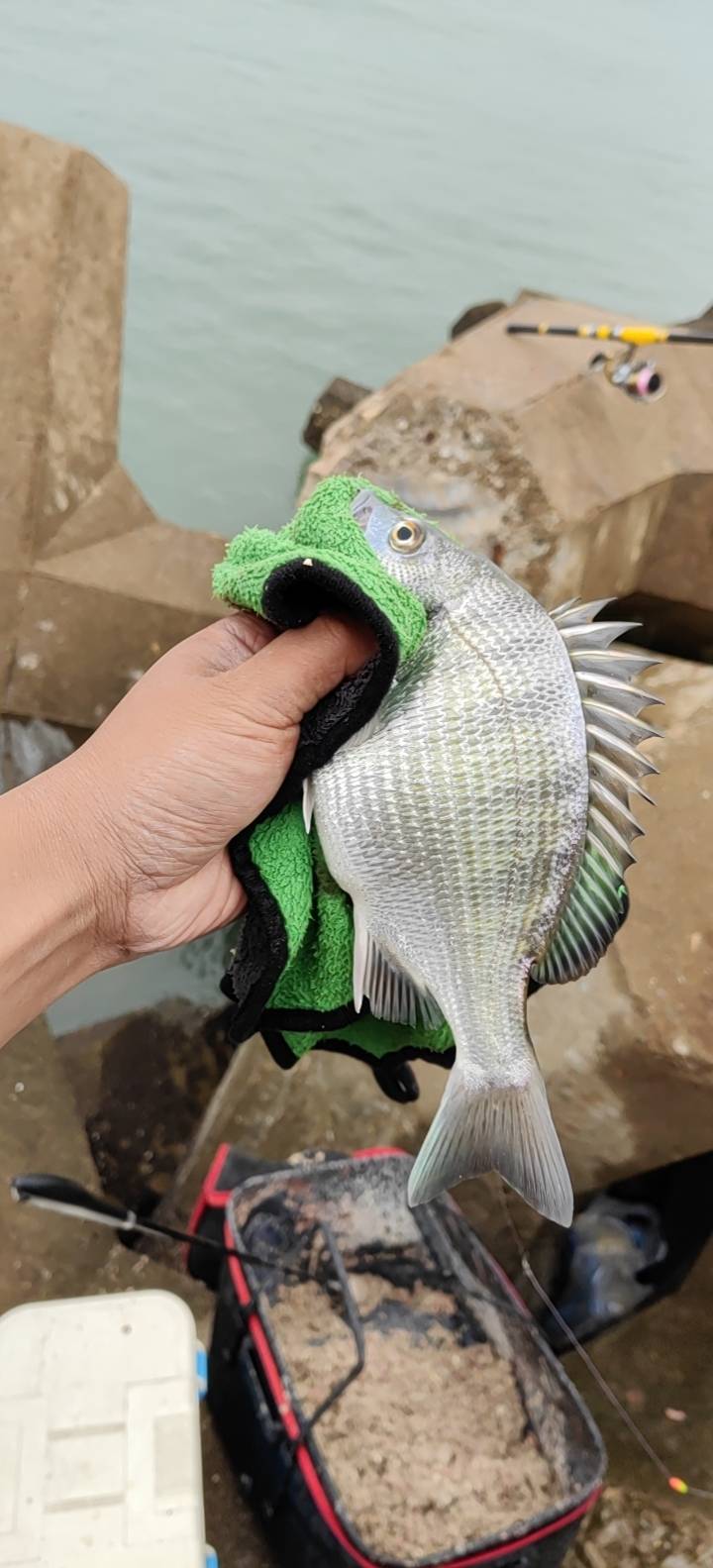 找钓鱼搭子
