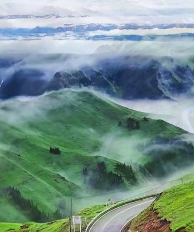找旅行搭子