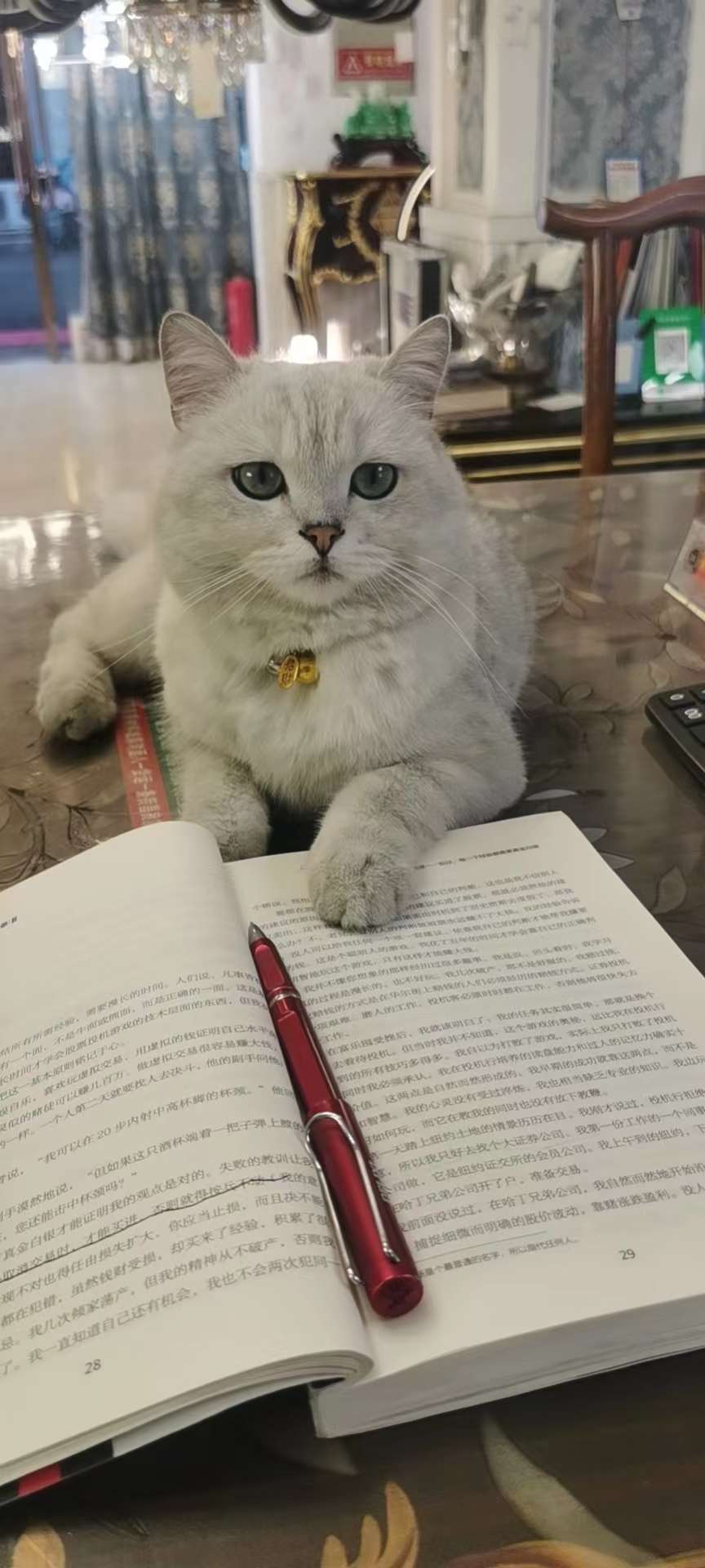 找游戏搭子