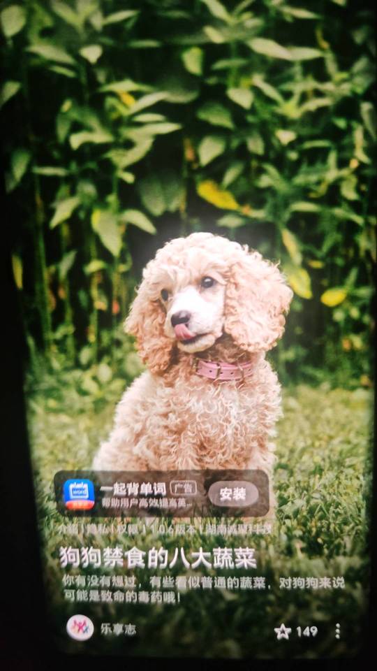 找女搭子
