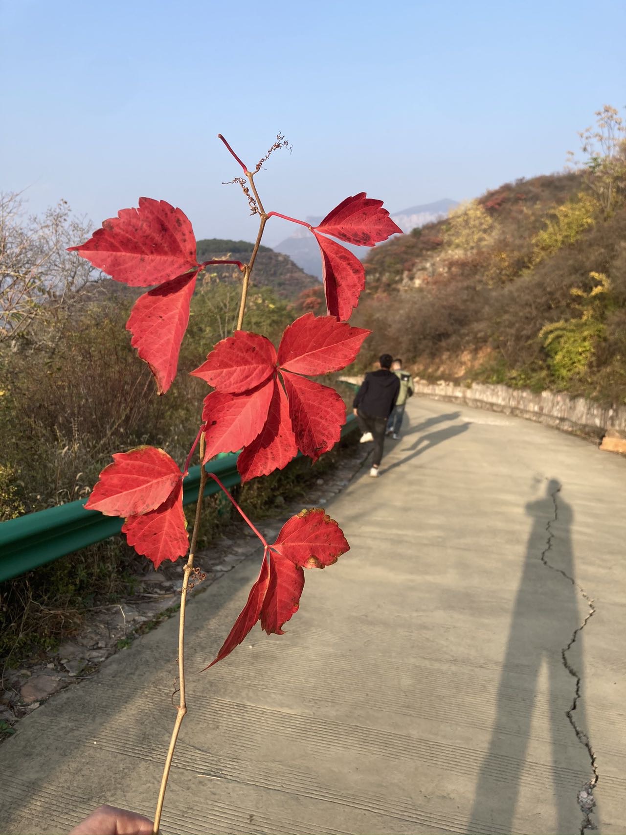找旅游搭子