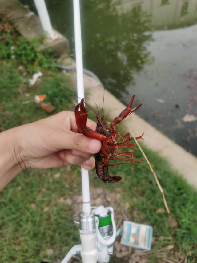 找钓鱼搭子