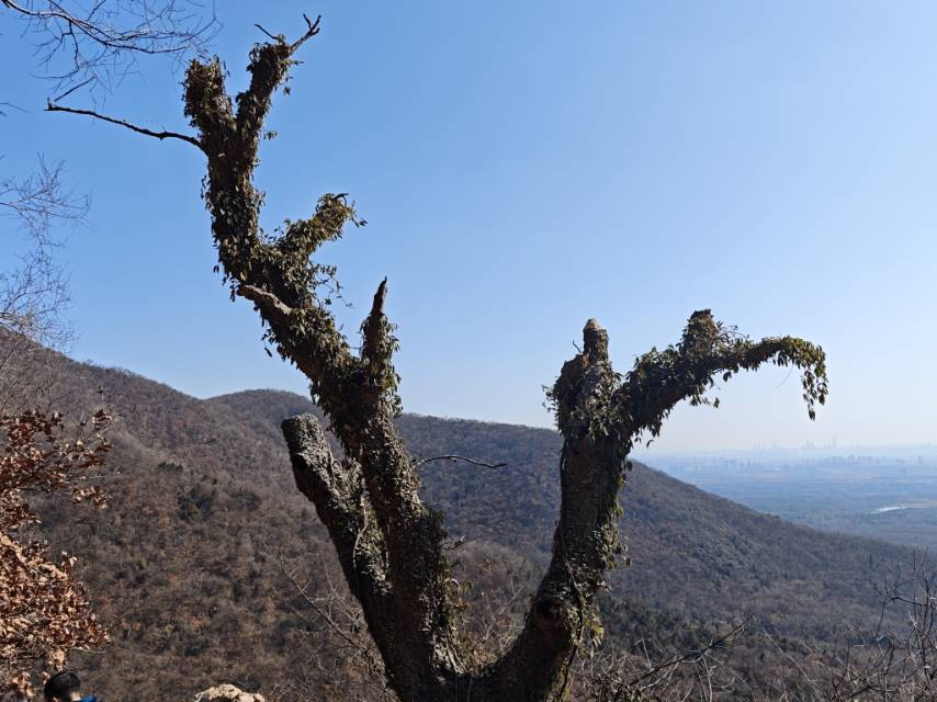 找旅游搭子