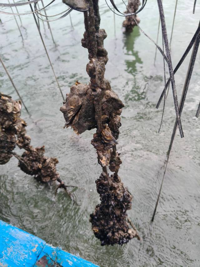 找打游戏逛街搭子