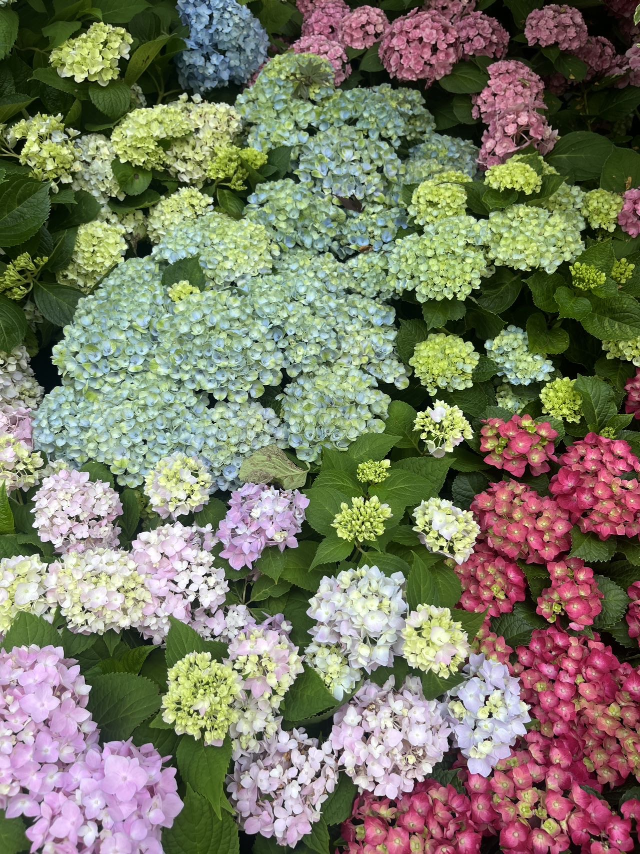 找爬山搭子