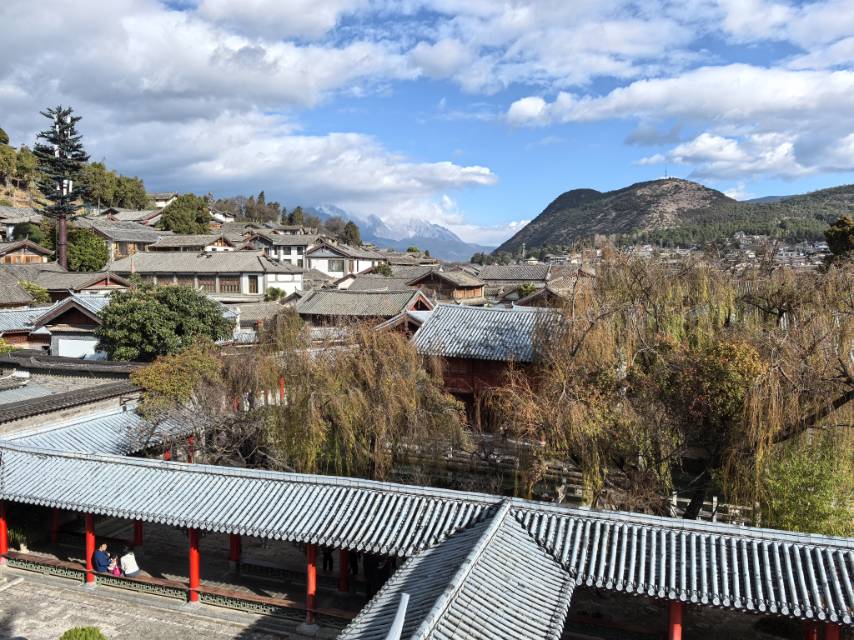 找学佛搭子