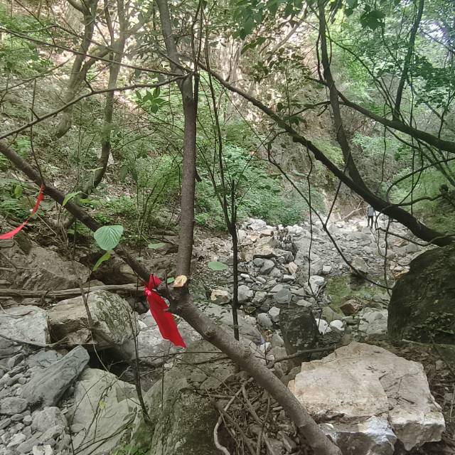 找爬山搭子