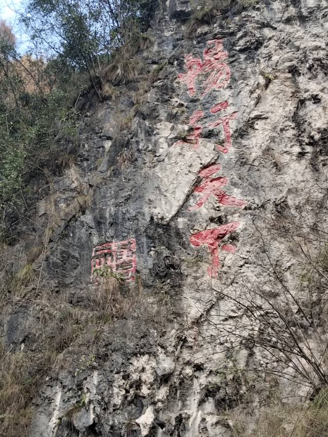 找旅游搭子