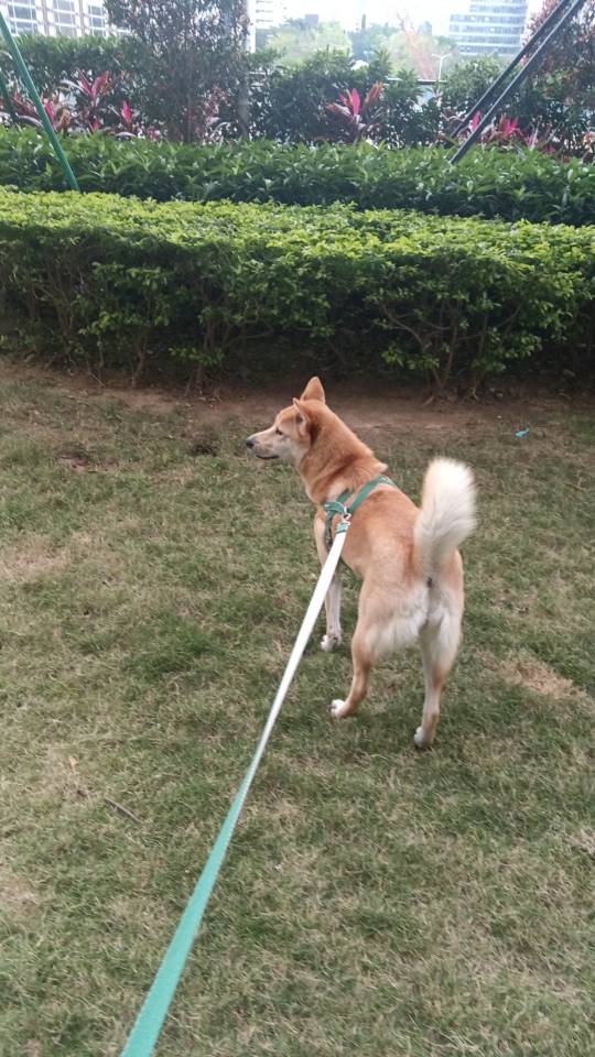 找逛逛搭子