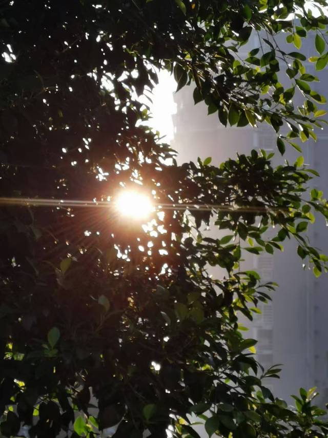 找运动搭子