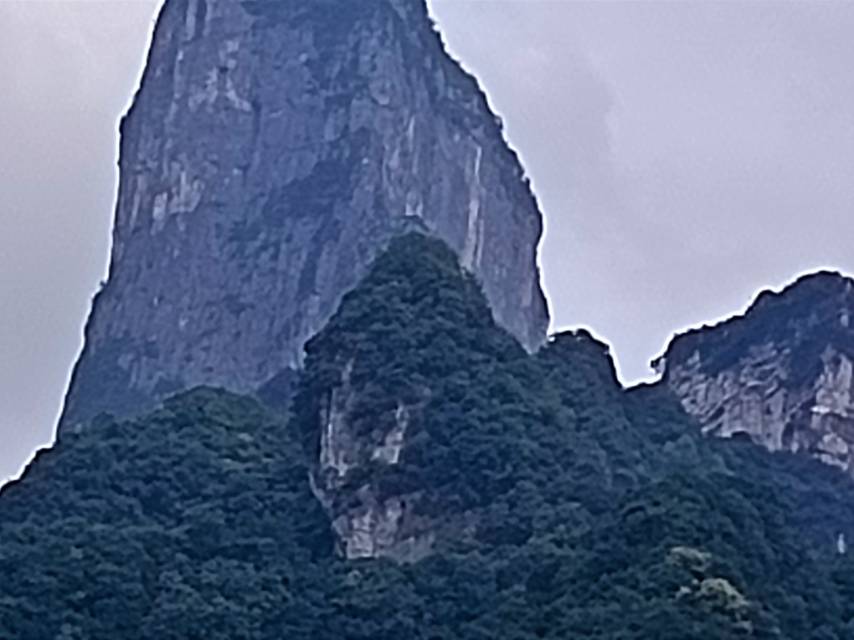 找爱情搭子