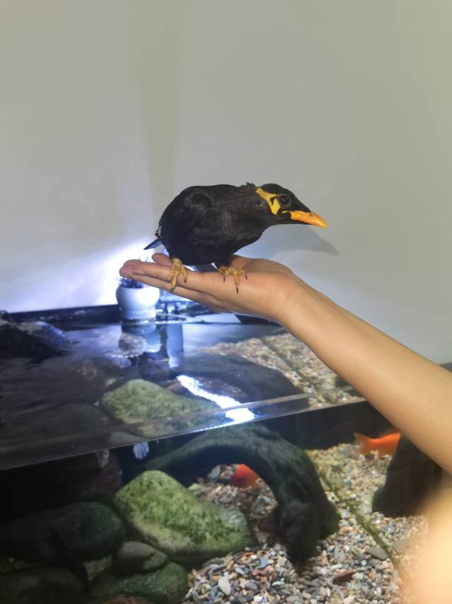 找运动钓鱼跑步骑搭子