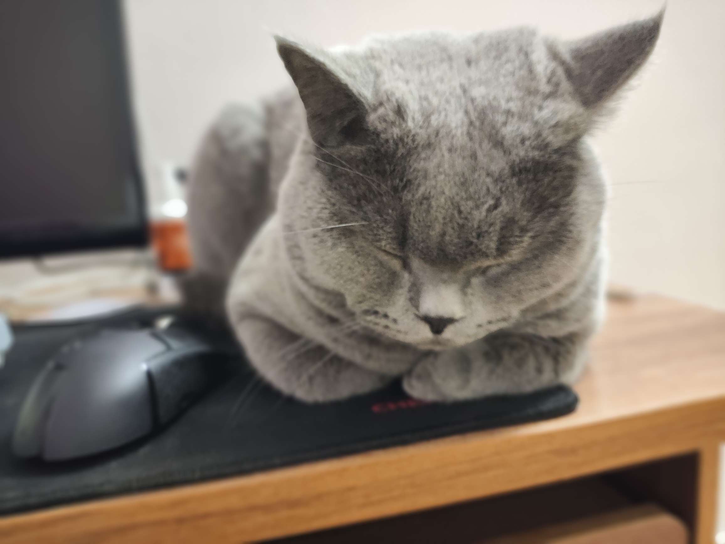 找恋爱搭子