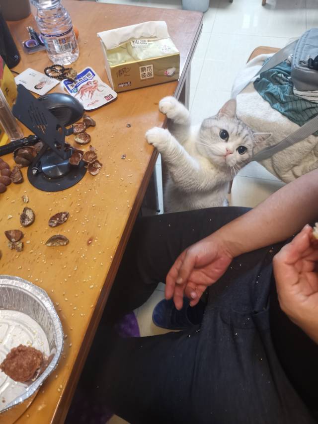 找聊天搭子